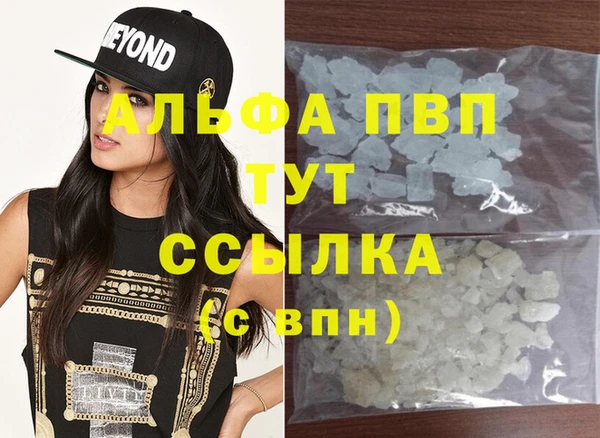 ECSTASY Инта