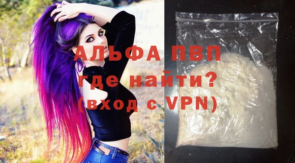 ECSTASY Инта