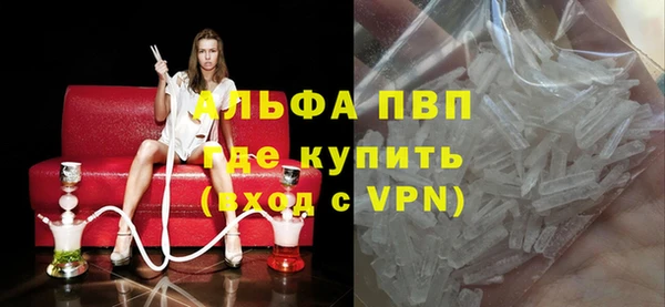 ECSTASY Инта